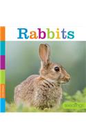 Rabbits: (Seedlings: Backyard Animals)
