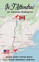 Je t'attendrai