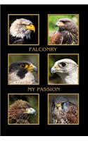 Falconry My Passion
