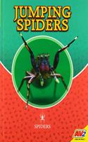 Jumping Spiders