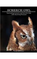 Screech Owl: Fascinating Screech Owl Facts for Kids with Stunning Pictures!