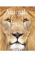 Encyclopedia of Animals