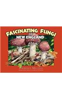 Fascinating Fungi of New England