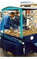 Roasted Chestnut Vendor in Istanbul, Turkey Journal