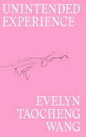 Evelyn Taocheng Wang: Unintended Experience