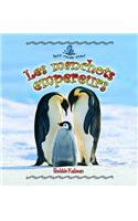 Les Manchots Empereurs: (Petit Monde Vivant)