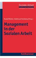 Management in Der Sozialen Arbeit