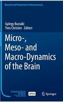 Micro-, Meso- And Macro-Dynamics of the Brain