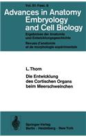 Die Entwicklung Des Cortischen Organs Beim Meerschweinchen