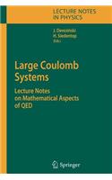 Large Coulomb Systems