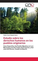 Estudio sobre los derechos humanos en los pueblos originarios: (Spanish)