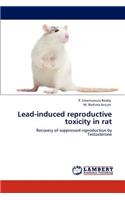 Lead-induced reproductive toxicity in rat