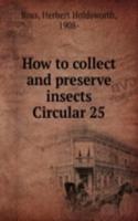 How to collect and preserve insects