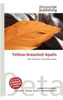 Yellow-Breasted Apalis: (English)