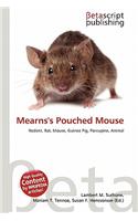 Mearns's Pouched Mouse