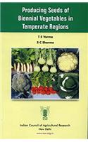 Producing Seeds of Biennial Vegetables in Temperate Regions