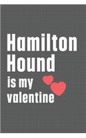 Hamilton Hound is my valentine: For Hamilton Hound Dog Fans