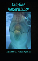 Delfines Maravillosos