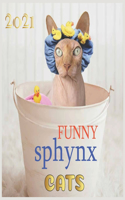 FUNNY sphynx