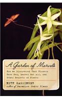 Garden of Marvels