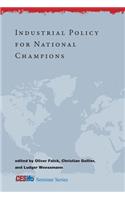 Industrial Policy for National Champions