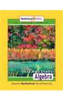 Intermediate Algebra