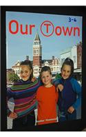 Leveled Reader: Our Town(Rigby Focus Fluent 1)