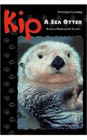 Kip