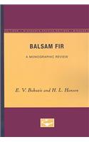Balsam Fir