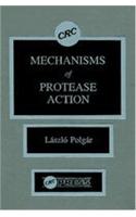 Mechanisms of Protease Action