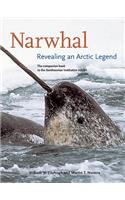 Narwhal