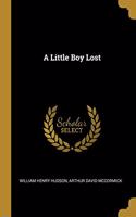 A Little Boy Lost