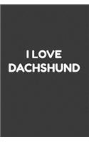 I love Dachshund