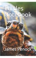 Turtles Notebook