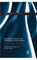 Emerging Economies and Challenges to Sustainability