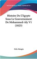 Histoire de L'Egypte Sous Le Gouvernement de Mohammed-Aly V1 (1823)