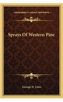 Sprays Of Western Pine