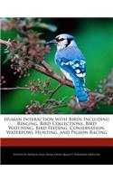 Human Interaction with Birds Including Ringing, Bird Collections, Bird Watching, Bird Feeding, Conservation, Waterfowl Hunting, and Pigeon Racing