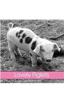 Lovely Piglets 2018