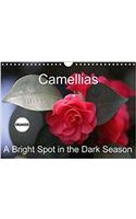 Camellias A Bright Spot in the Dark Season 2018: Extraordinary Flowers in Winter(Calvendo Nature)
