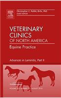 Advances in Laminitis, Part II, an Issue of Veterinary Clinics: Equine Practice