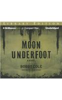 Moon Underfoot