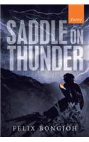 Saddle on Thunder