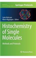 Histochemistry of Single Molecules