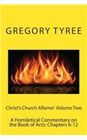 Christ's Church Aflame!: A Homiletical Commentary on the Book of Acts: Volume Two (Chapters 6-12)