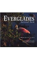 Everglades National Park Impressions