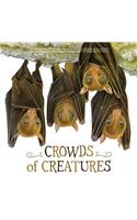 Crowds of Creatures