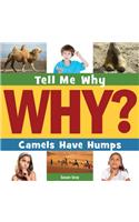 Camels Have Humps