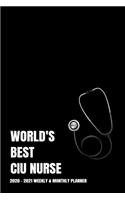 World's Best Ciu Nurse Planner