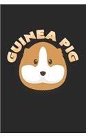 guinea pig